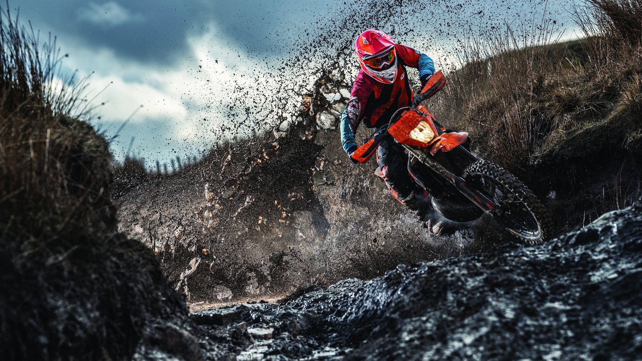 塔图姆末节发力凯尔特人完成逆转，凯尔特人塔图姆今日集锦